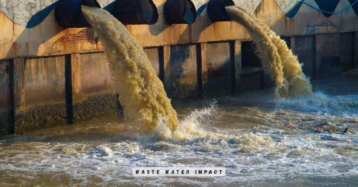 Waste Water Impact